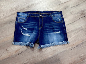 PlusSize Frayed Denim Shorts