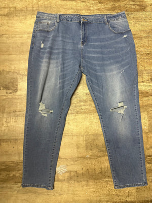 Plus Light Wash Skinnys